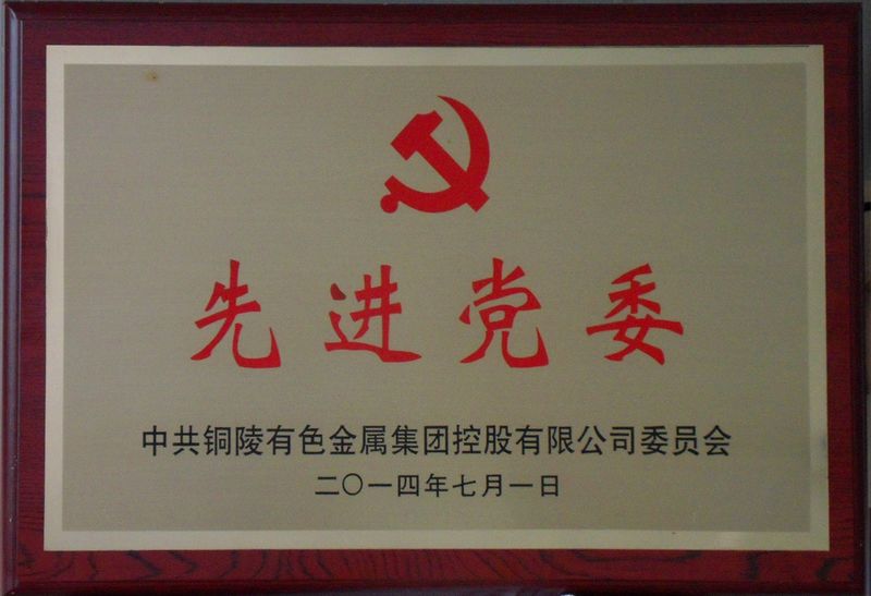 集团先进党委