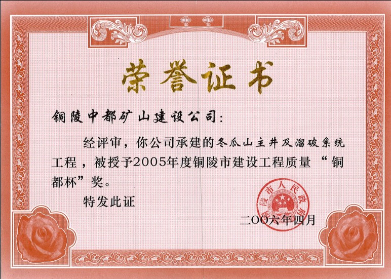 铜陵市2005年&ldquo;铜都杯&rdquo;奖